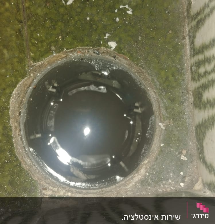 פתח ניקוז עם מים עומדים על רצפה ירוקה